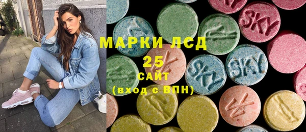 экстази Ельня